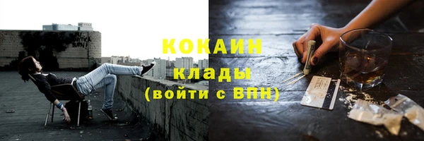 ГАЛЛЮЦИНОГЕННЫЕ ГРИБЫ Богданович