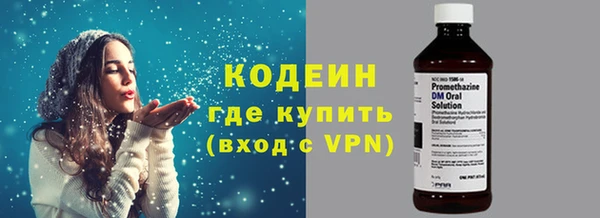 ГАЛЛЮЦИНОГЕННЫЕ ГРИБЫ Богданович