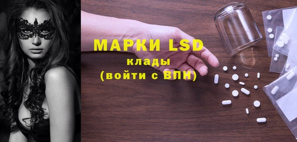 ГАЛЛЮЦИНОГЕННЫЕ ГРИБЫ Богданович