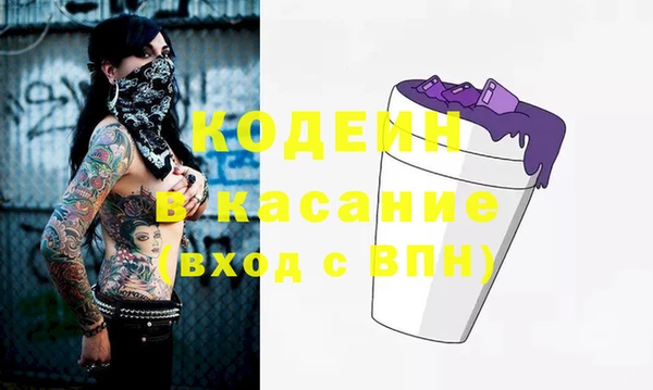 ГАЛЛЮЦИНОГЕННЫЕ ГРИБЫ Богданович