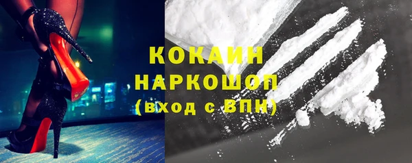 mdpv Богородицк
