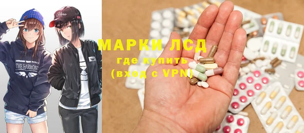 ГАЛЛЮЦИНОГЕННЫЕ ГРИБЫ Богданович