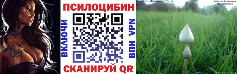 Галлюциногенные грибы MAGIC MUSHROOMS  ссылка на мегу ссылки  Яранск  наркотики 